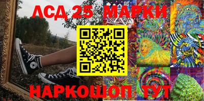 СК Краснокаменск