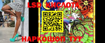 прущие грибы Краснознаменск