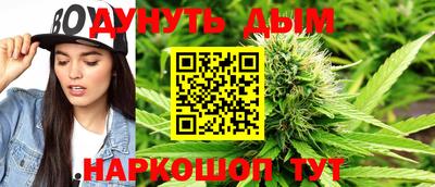 прущие грибы Краснознаменск