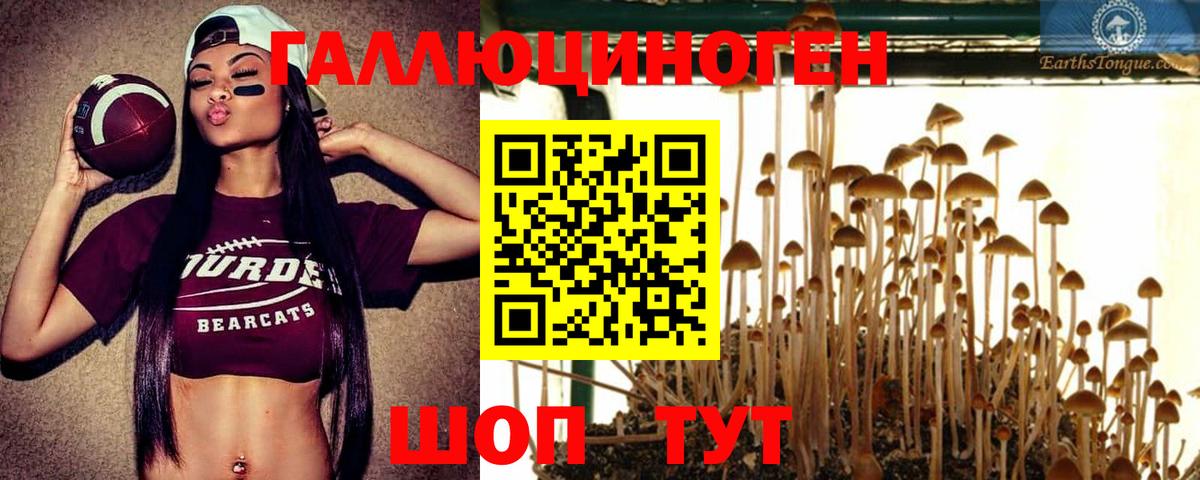 Галлюциногенные грибы GOLDEN TEACHER  Вход с VPN  Галлюциногенные грибы Psilocybe  Ханты-Мансийск 