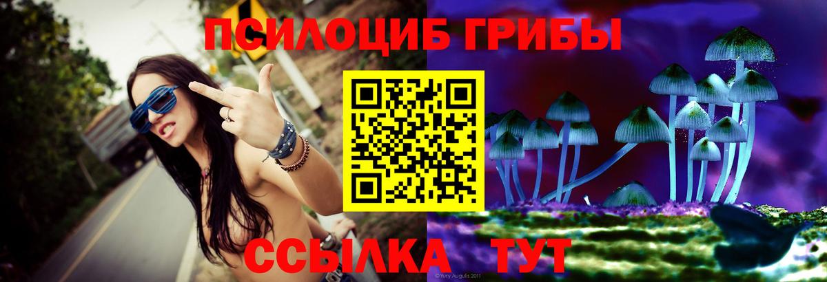 Псилоцибиновые грибы GOLDEN TEACHER Ханты-Мансийск